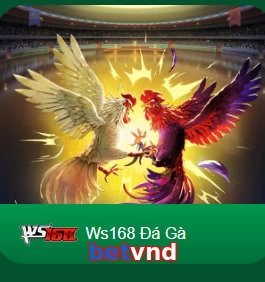 betvnd